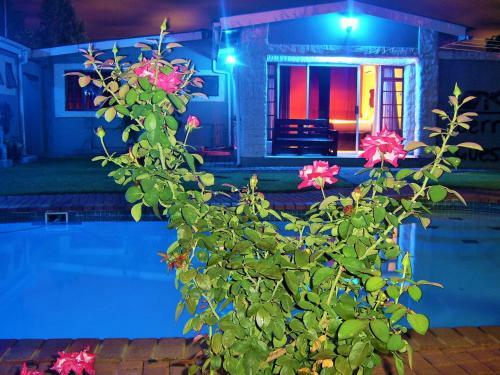 Hostal Berry Bliss Guest House
