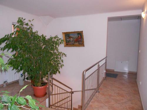 Hostal Rooms Zebax