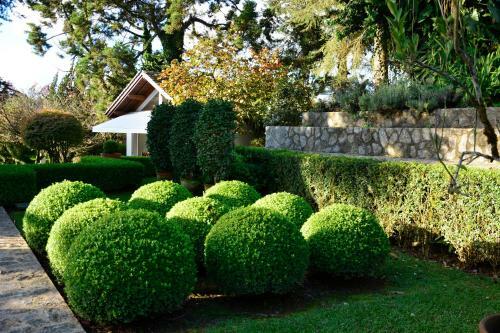Hotel Roots - Resort