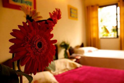 Hostal Pouso Mel De Liz