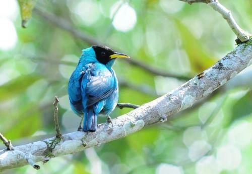 Bed & Breakfast Sitio Namaste Paraty