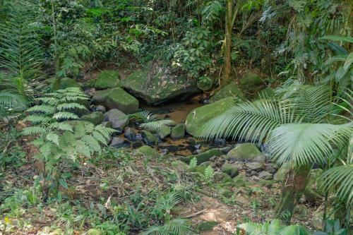 Canto Do Rio - Praia Do F�lix