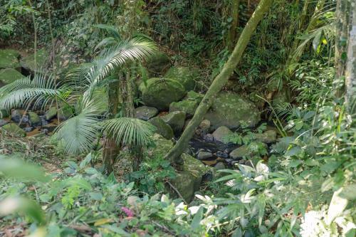 Canto Do Rio - Praia Do F�lix