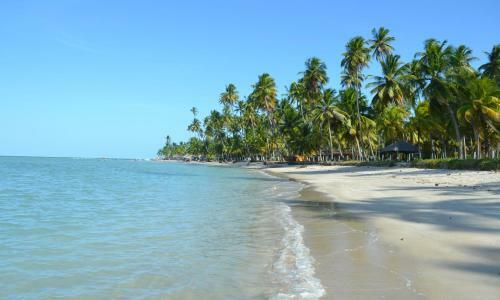 Apartamento Flat Praia Dos Carneiros