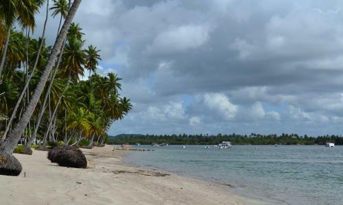 Apartamento Flat Praia Dos Carneiros