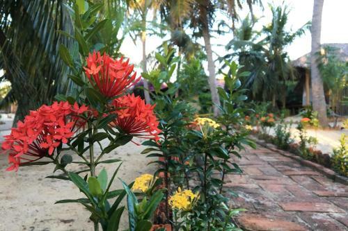 Bed & Breakfast Pousada Espaco Zen