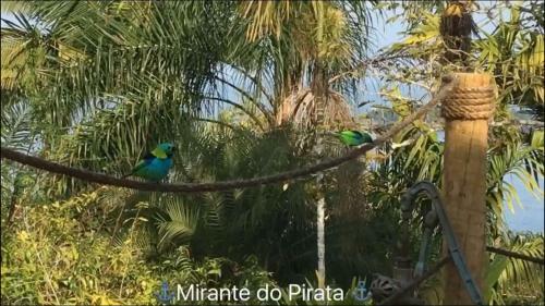 Hostal Mirante Do Pirata