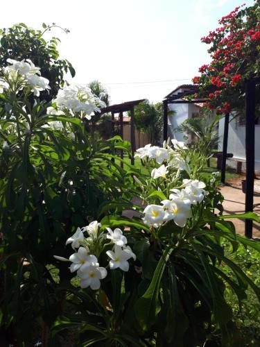 Hostal Chal�s Lua E Sol