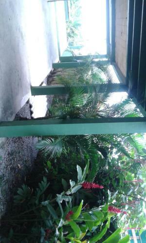 Hostel D' Amelinha