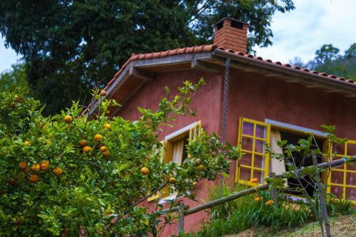 Hostal Pousada Vale Das Arauc�rias