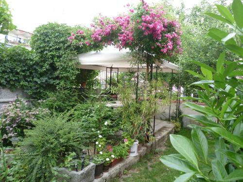 Hostal Kyshta Za Gosti Venera