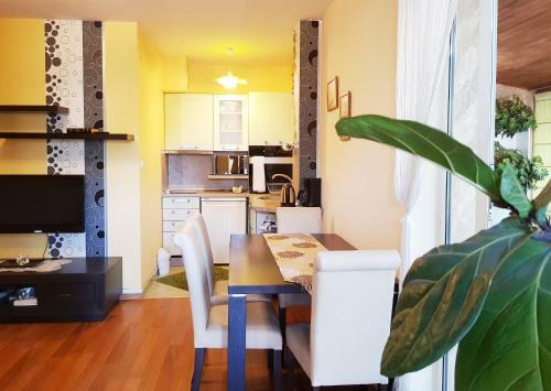 Apartment Nicole