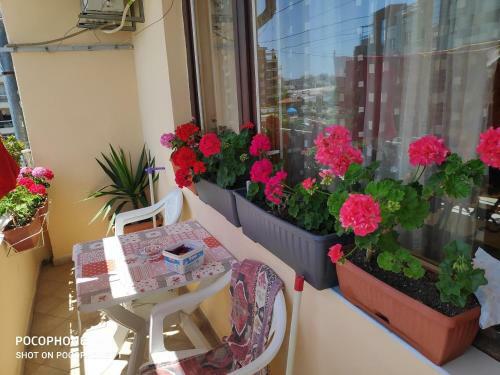 Homestay Kostadinov