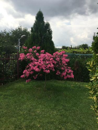 Villa Omnia