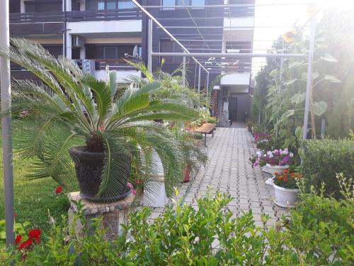 Apartments In Sunny Hill 3 Complex