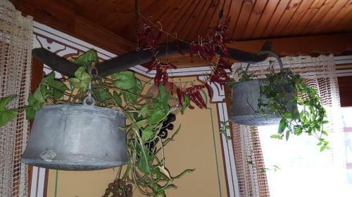 Chuchura Family Hotel