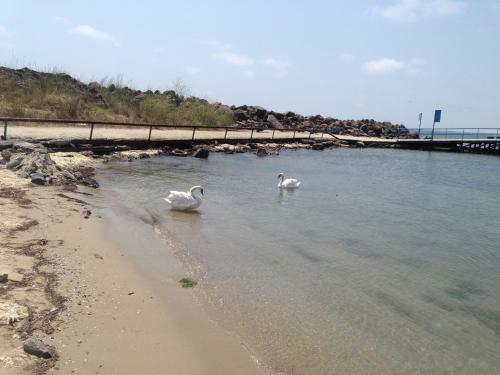 Single Apartments In Akrotiria