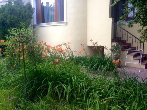 Hostal Guest Rooms Maria Luiza