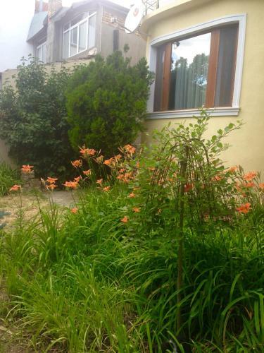 Hostal Guest Rooms Maria Luiza