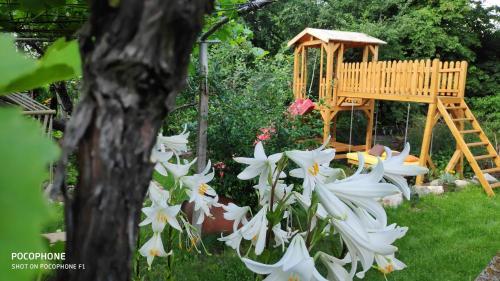 Hostal Georgievi Homestay