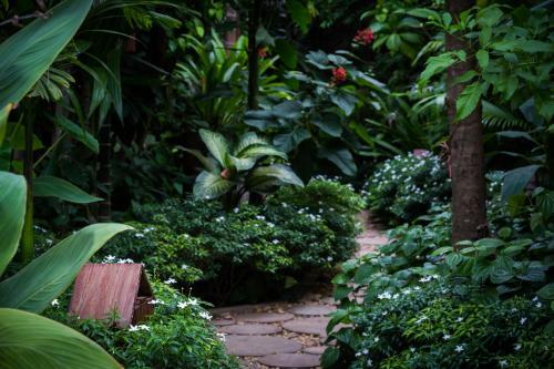 Hotel Malu Khmer Villa
