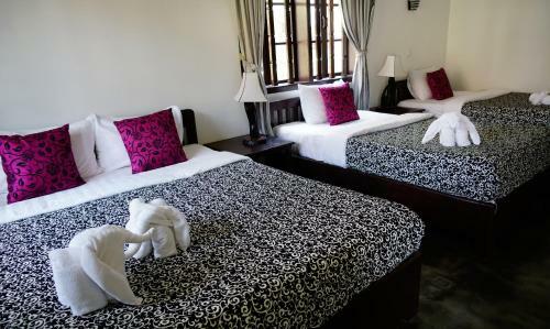 Bed & Breakfast Uncle Sam Villa
