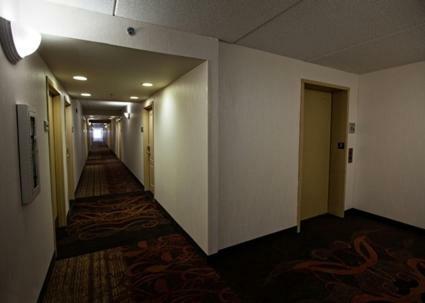Hotel Hampton Inn By Hilton Napanee