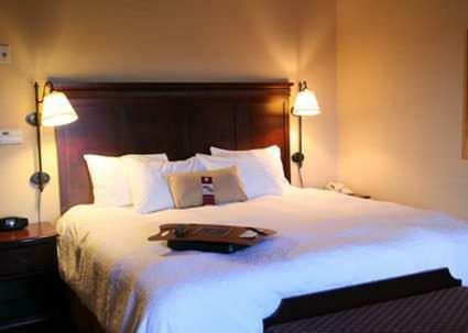 Hotel Hampton Inn By Hilton Napanee