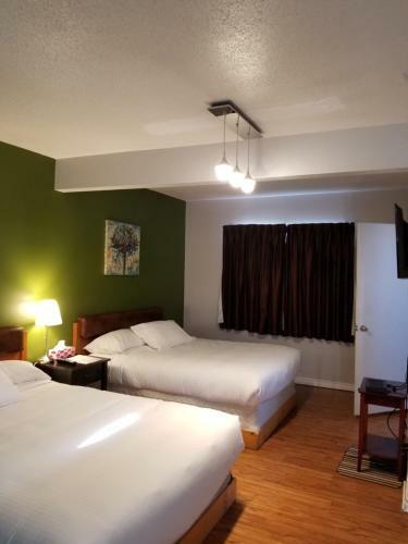 Sun Plaza Motel