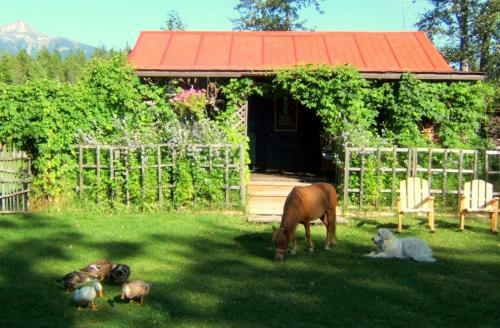 Teepee Meadows Guest Cottages