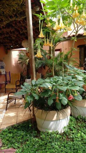 Hostal Eco Pousada Jardim Do Eden