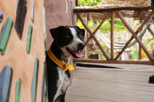 Ra�zes Eco Hostel