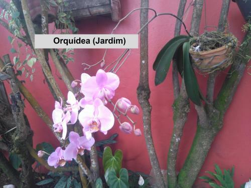 Apartamento Quitinete (pontal)