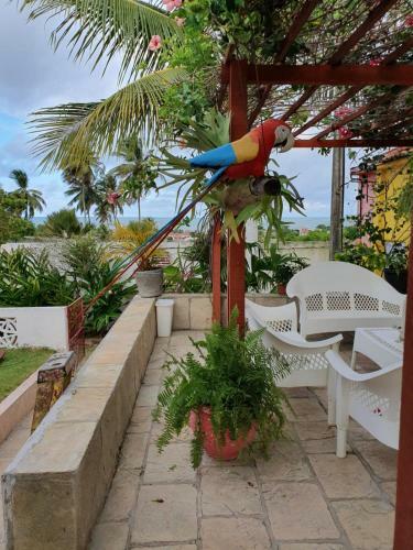 Hostal Blessed Spa Pousada