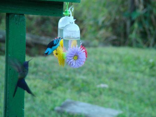 Hostal Pousada Do Sonho