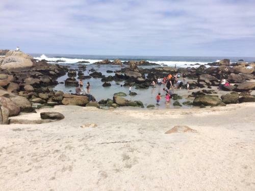 Apartamento Playa Mar Azul