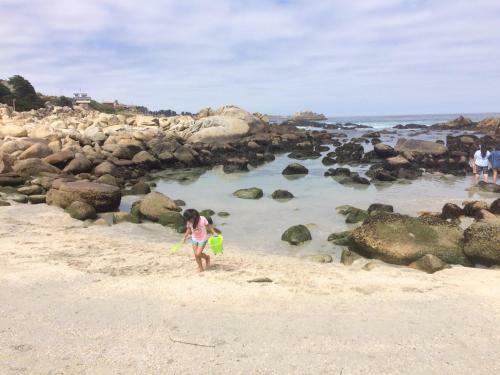 Apartamento Playa Mar Azul