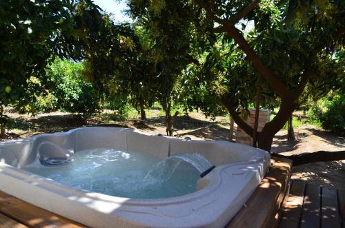 Caba�as Spa Olmue