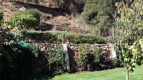 Lodge Hosteria Los Olivos