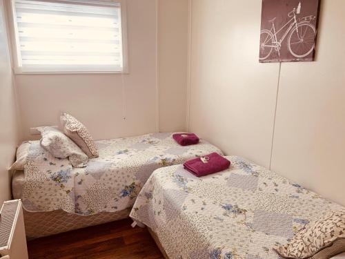 Apartamentos Patagonia