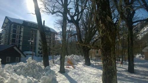 Apartamento Departamento En Termas De Chillan