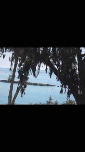 Apartamento Myria Court