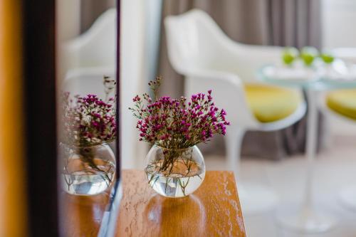 Napa Plaza Hotel (adults Only)