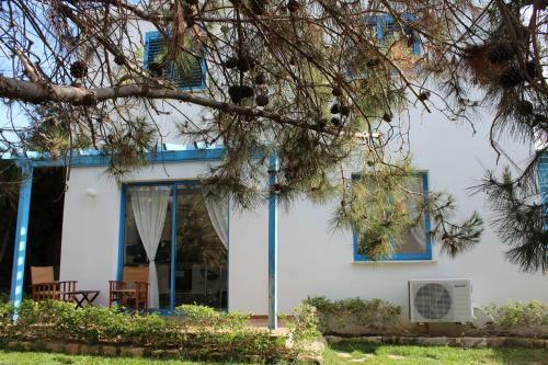 Olive Beach Villa