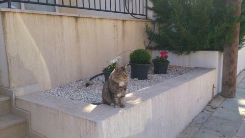 Villa Townhouse Luck In Polis