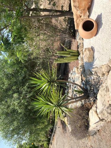 Paradise Traditional House