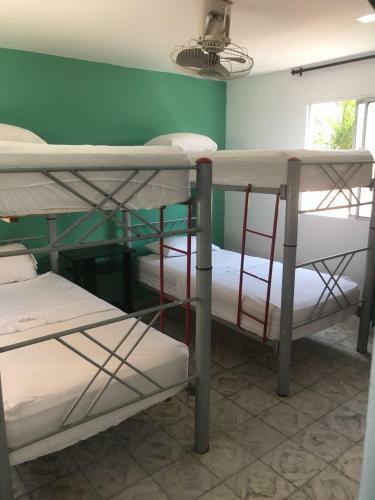 Albergue Hostal 1811