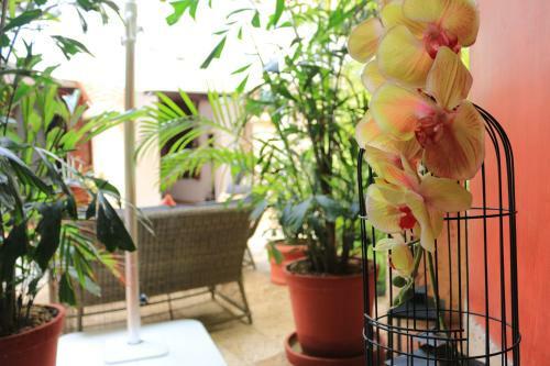 Hotel Casa De Los Reyes By Hmc