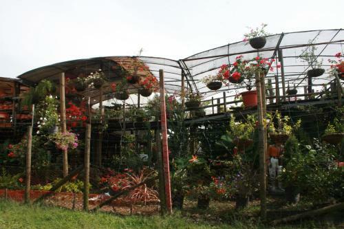 Medellin Bed & Breakfast