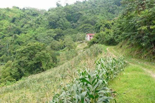Agroturismo Finca San Rafael